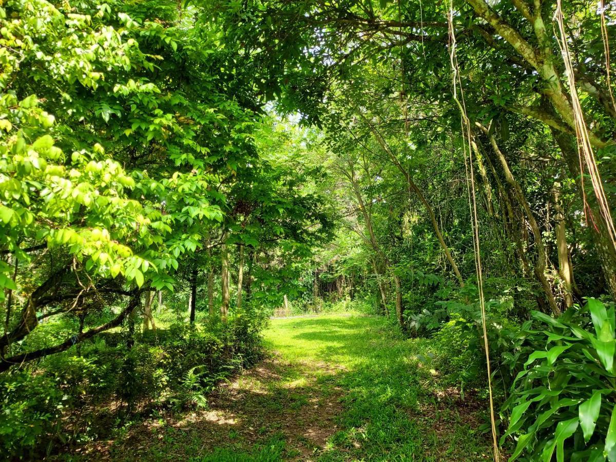 Aum Hum Homestay Fang 외부 사진