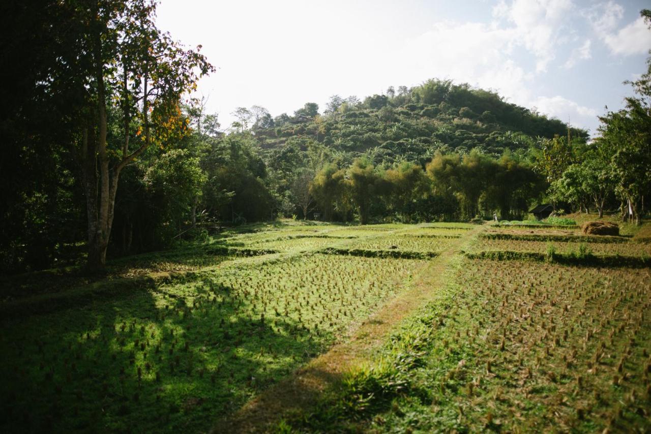 Aum Hum Homestay Fang 외부 사진