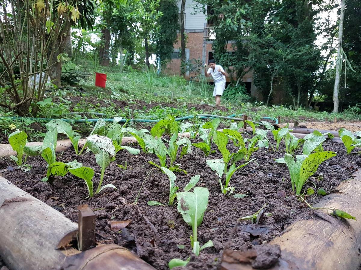 Aum Hum Homestay Fang 외부 사진