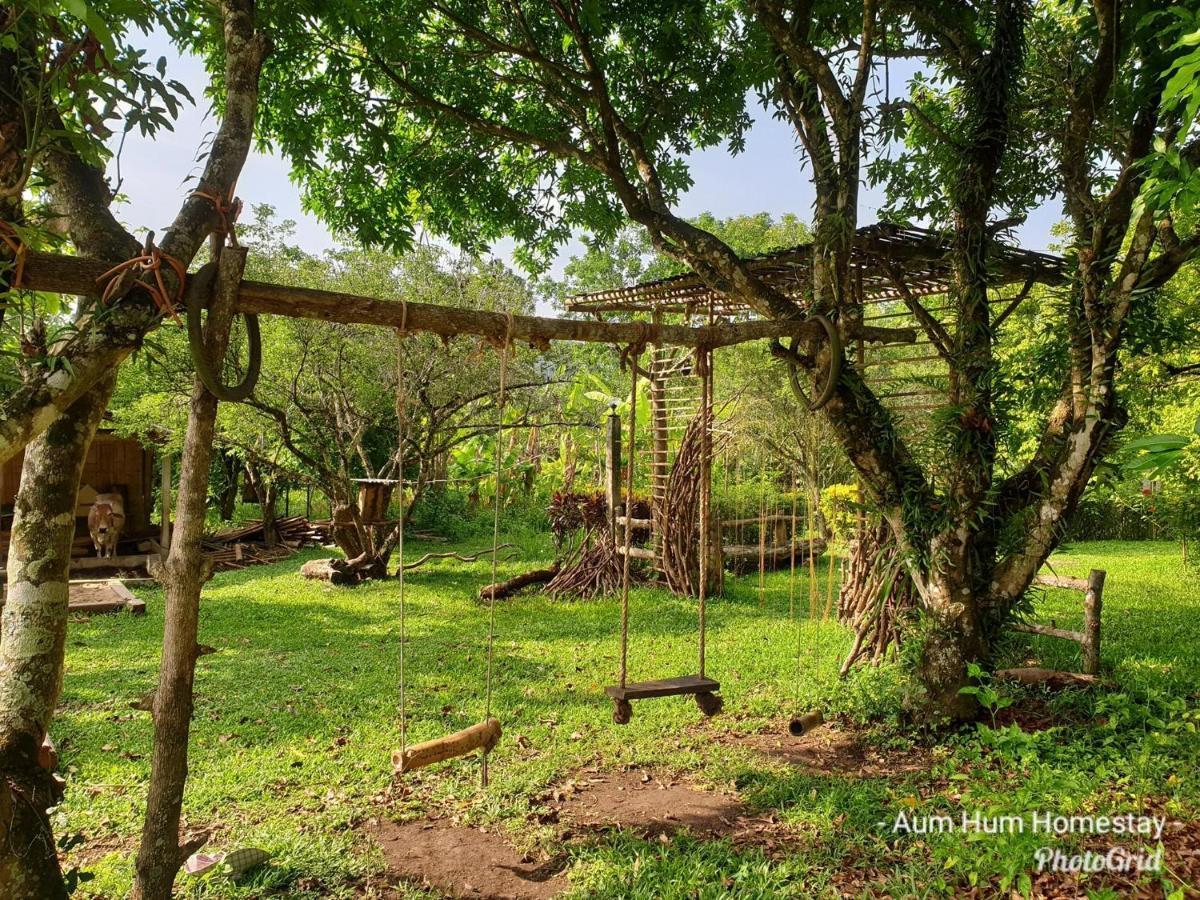 Aum Hum Homestay Fang 외부 사진